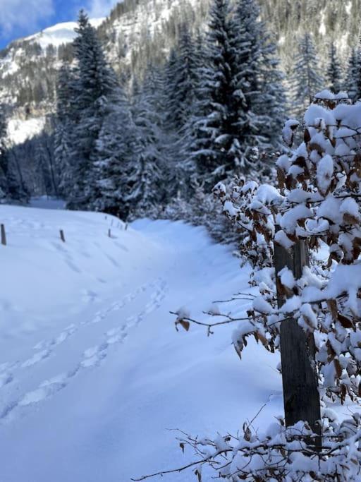 Les Chamois - Hyper Centre - 7 Pers * Chatel
